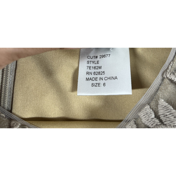 Tadashi Shoji Dress Womens 6 Lace Embroidery Sequins Multi Textured Taupe Silver - Picture 4 of 15